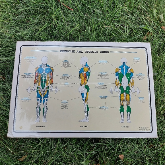 1984 Vintage Bruce Algra Exercise and Muscle Guide Workout Fitness Chart Series - Picture 1 of 6